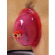 Size Matters Vaginal Pump And Cup Set Pink